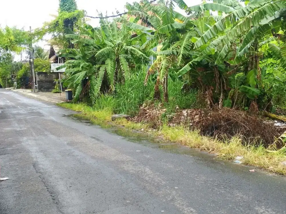 Tanah Premium 10,5 Are Disewakan, di Dewi Sri Kuta Area