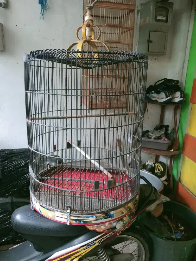 Kandang murai merk B&R dan Rafi Jaya