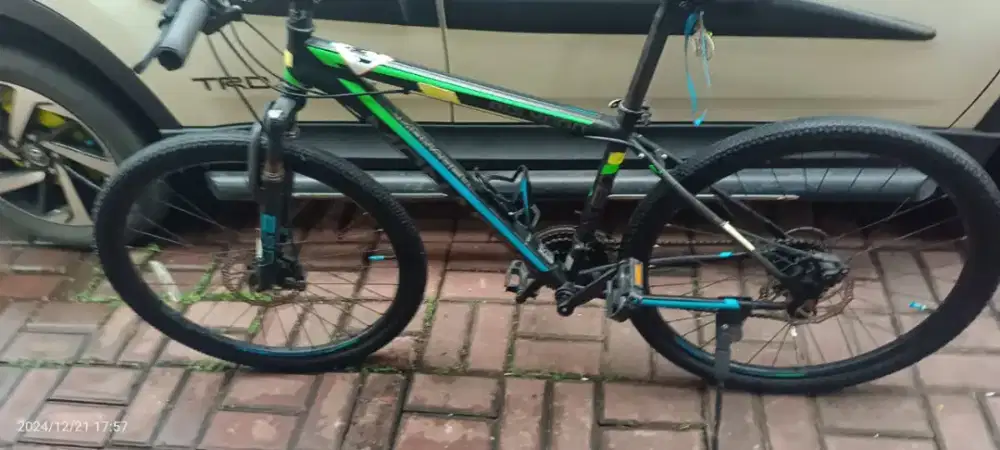 Sepeda Polygon Monarch M3 G