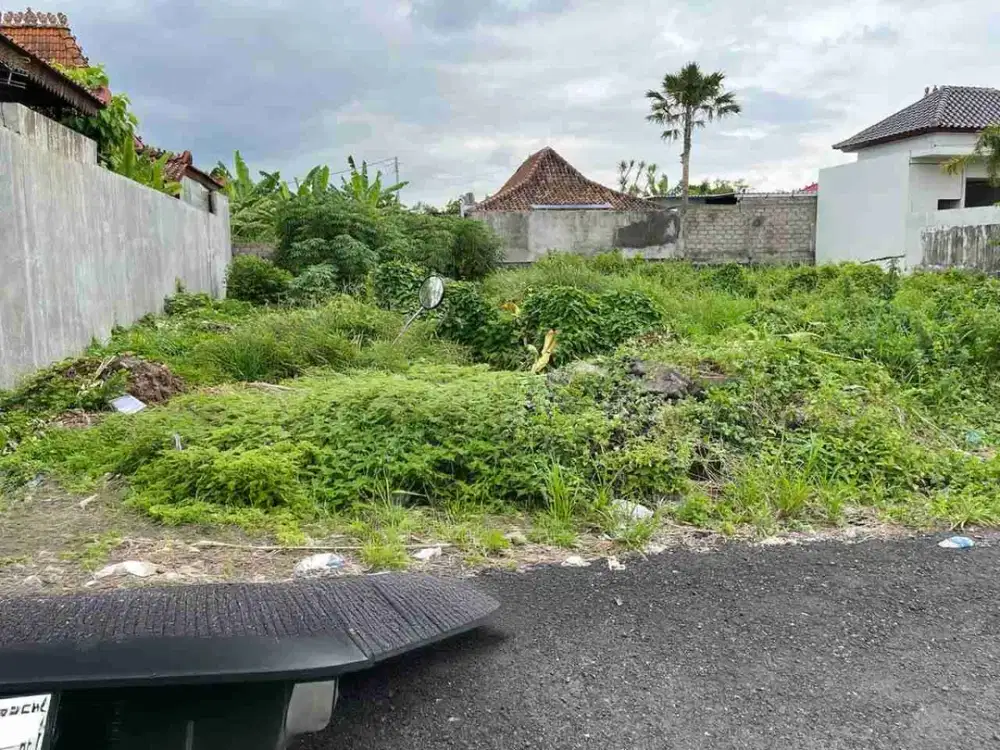 tanah kawasan elit badak agung Renon bali