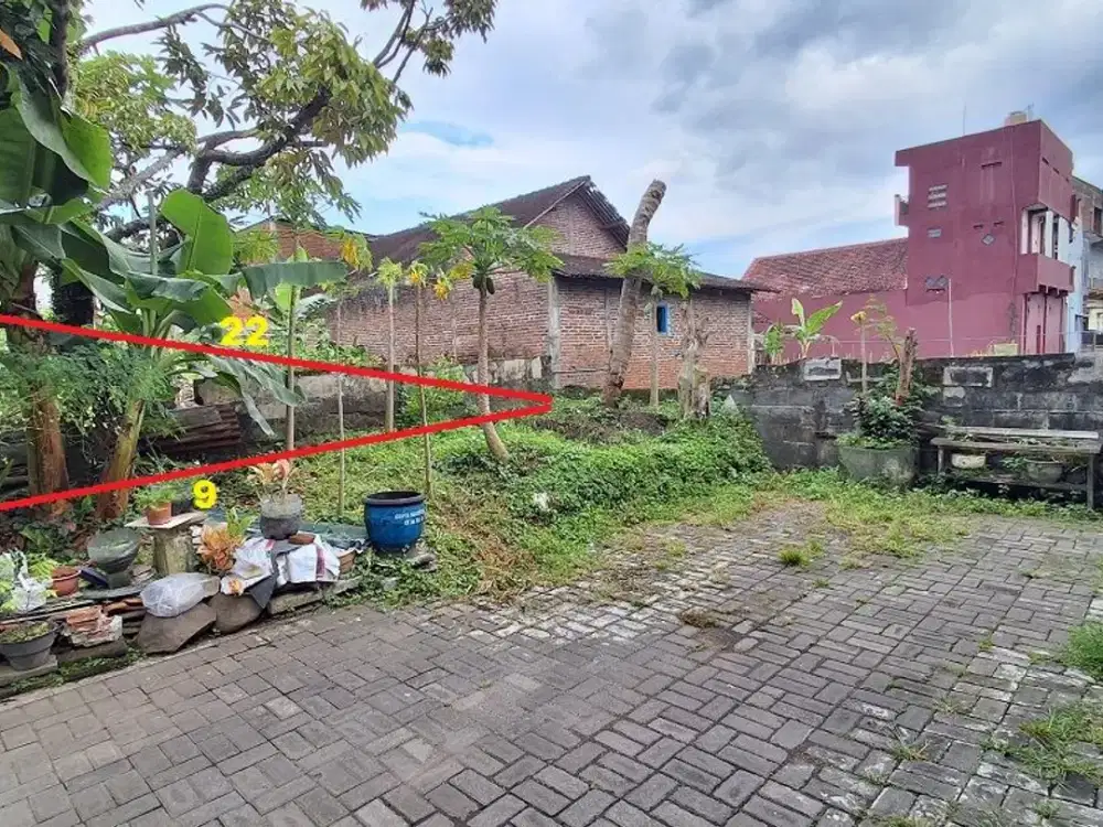 Tanah Tunjungsekar Lowokwaru Malang Ikan Gurami Dijual murah B.U Poll