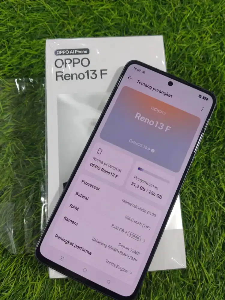 oppo reno 13F mulus perfect