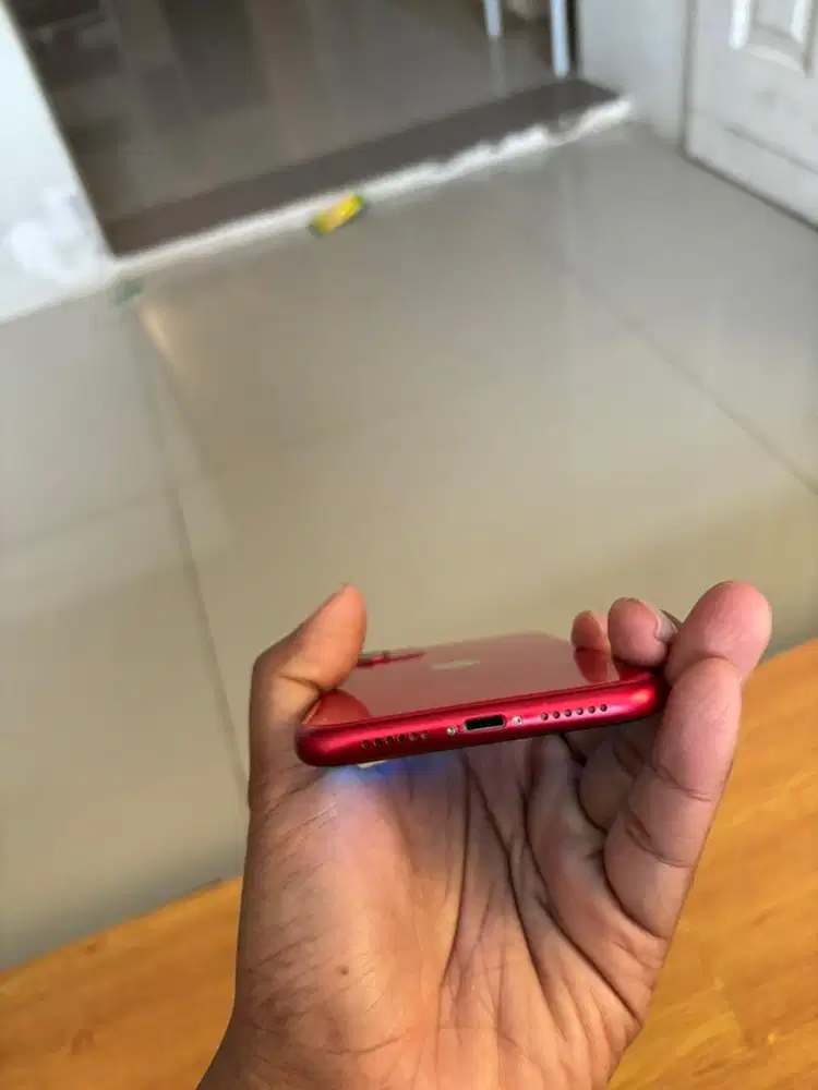 iphone 11 256 termurah