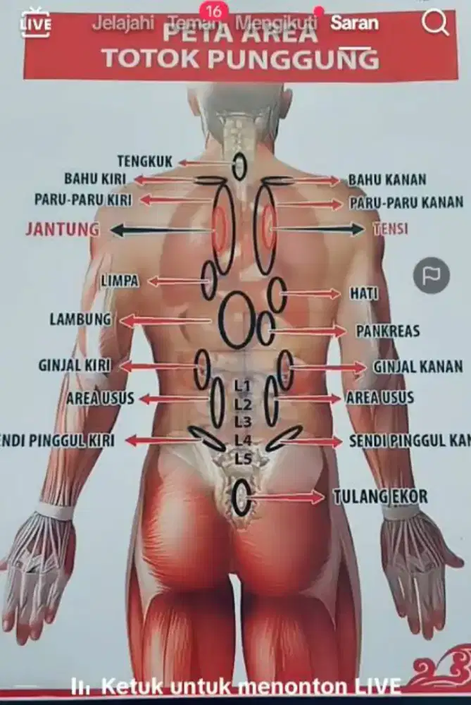 Terapi totok punggung