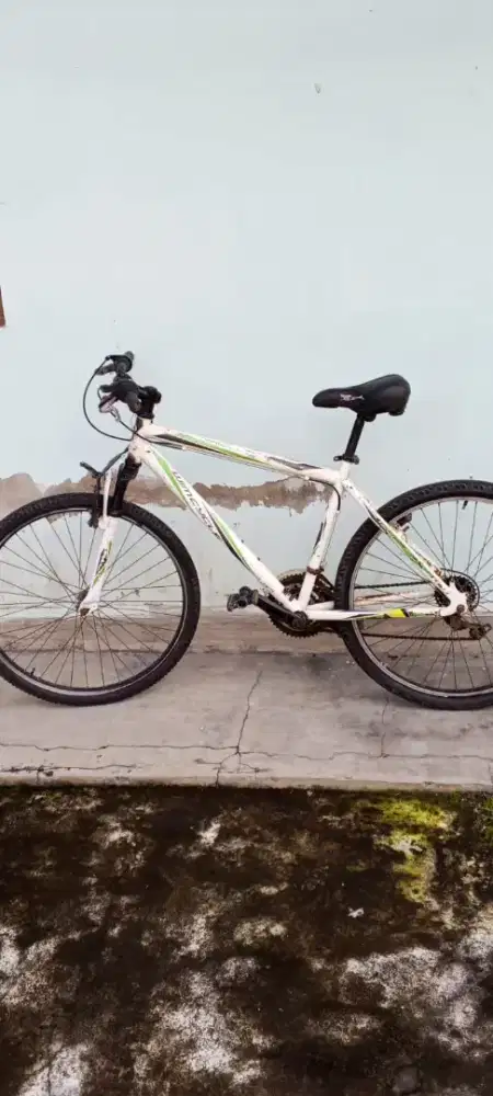 Sepeda WimCycle Putih