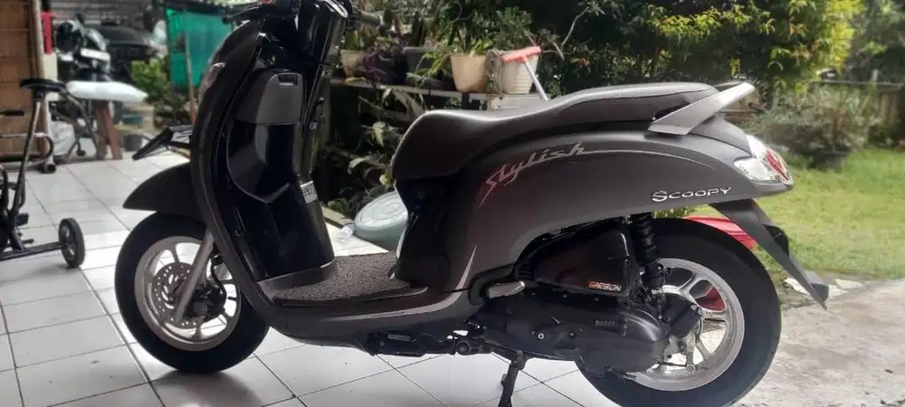 Scoopy stylish abu abu doff