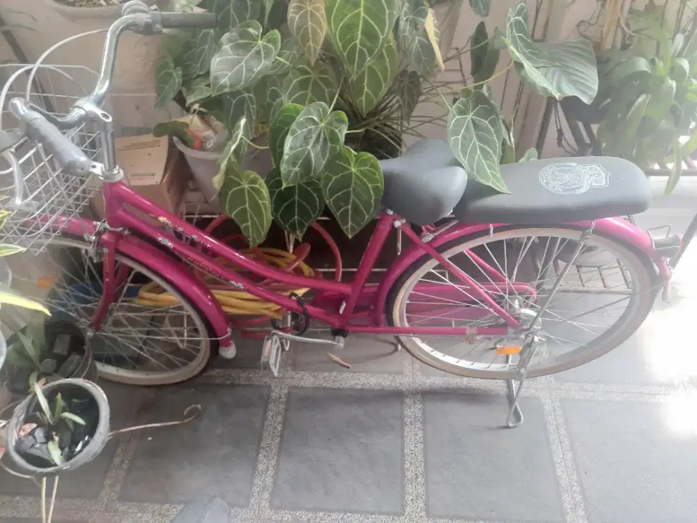 Sepeda merk new phoenix