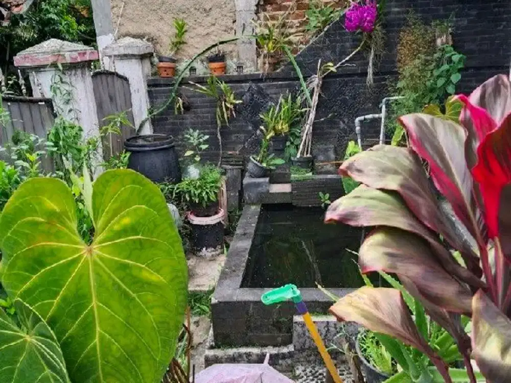 Dijual Rumah 1 Lantai di Tanimulya, Ngamprah, Kabupaten Bandung Barat Ref.05320