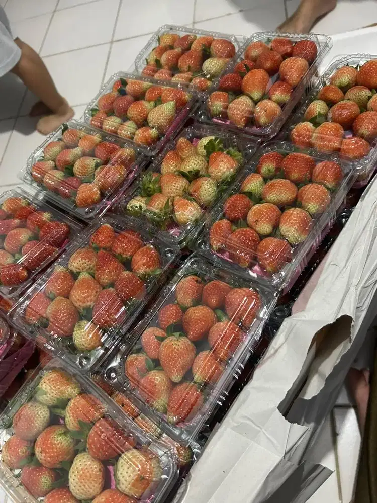 Dicari karyawan freelance