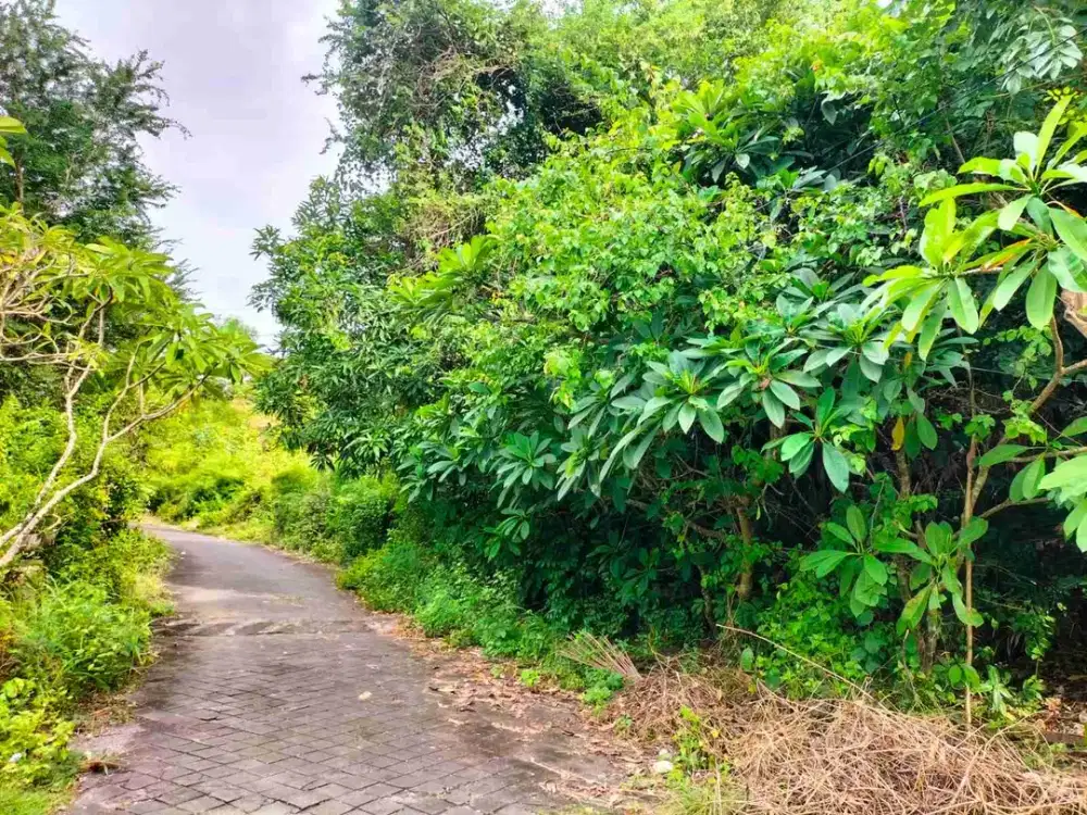 tanah premium kawasan villa taman kebo Iwa Benoa Kuta selatan bali