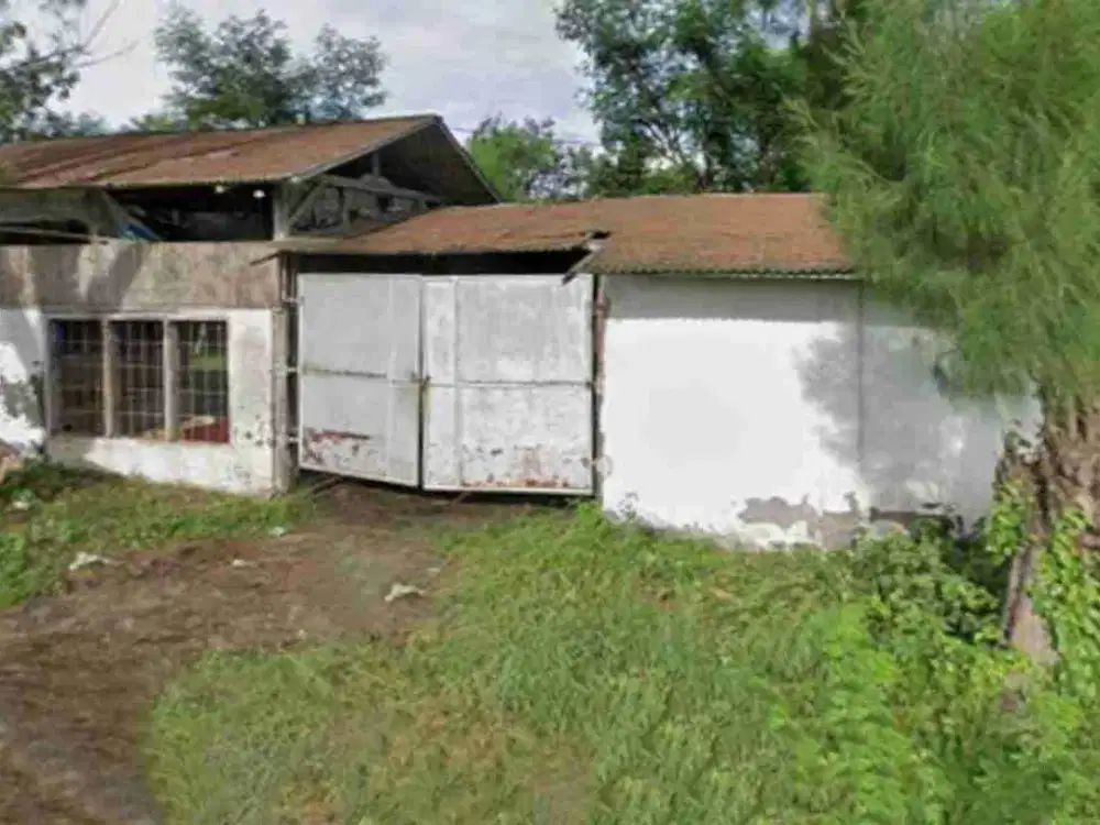 Kandang Ayam di Madura Bangkalan