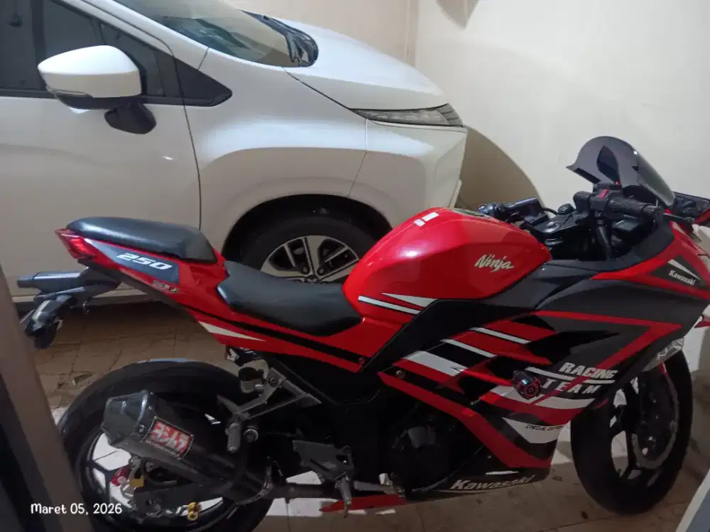 Kawasaki ninja fi 250
