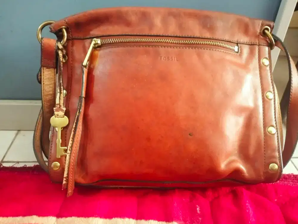 Tas fossil original
