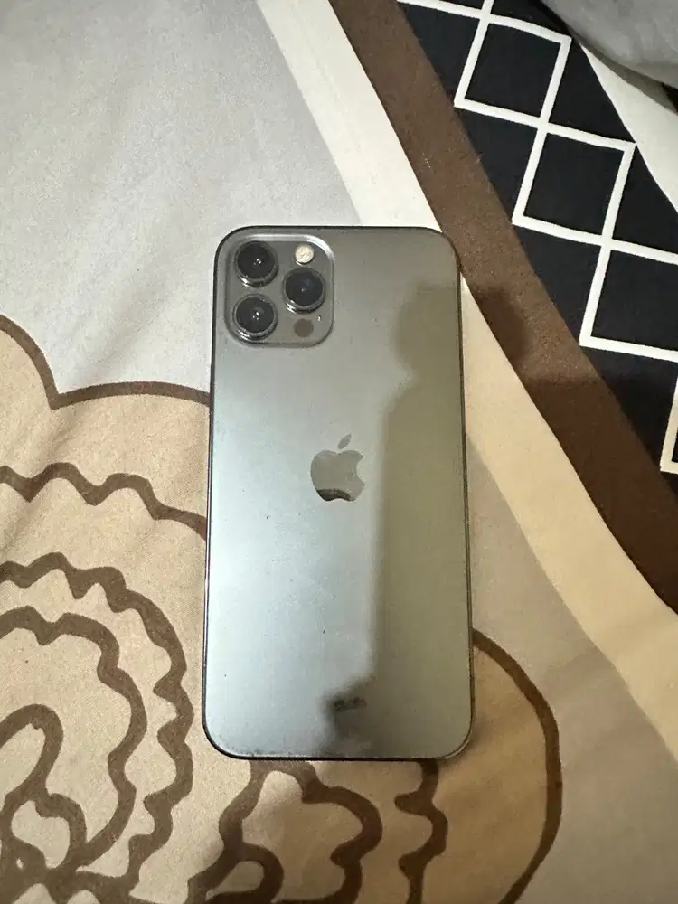 wts iphone 12 pro max warna graphite