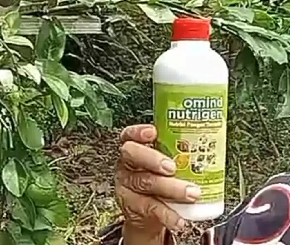 Dijual pupuk ajaib organik.