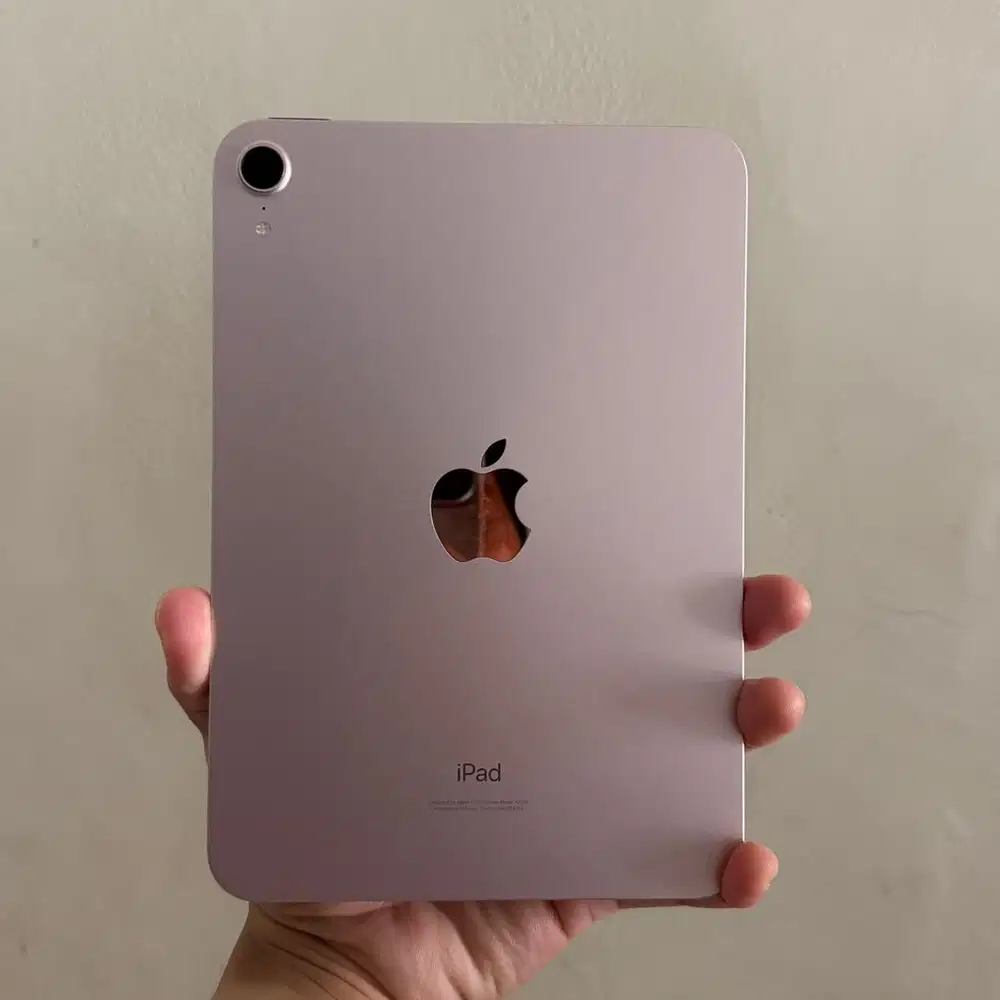 Ipad Mini 6th Gen 256Gb