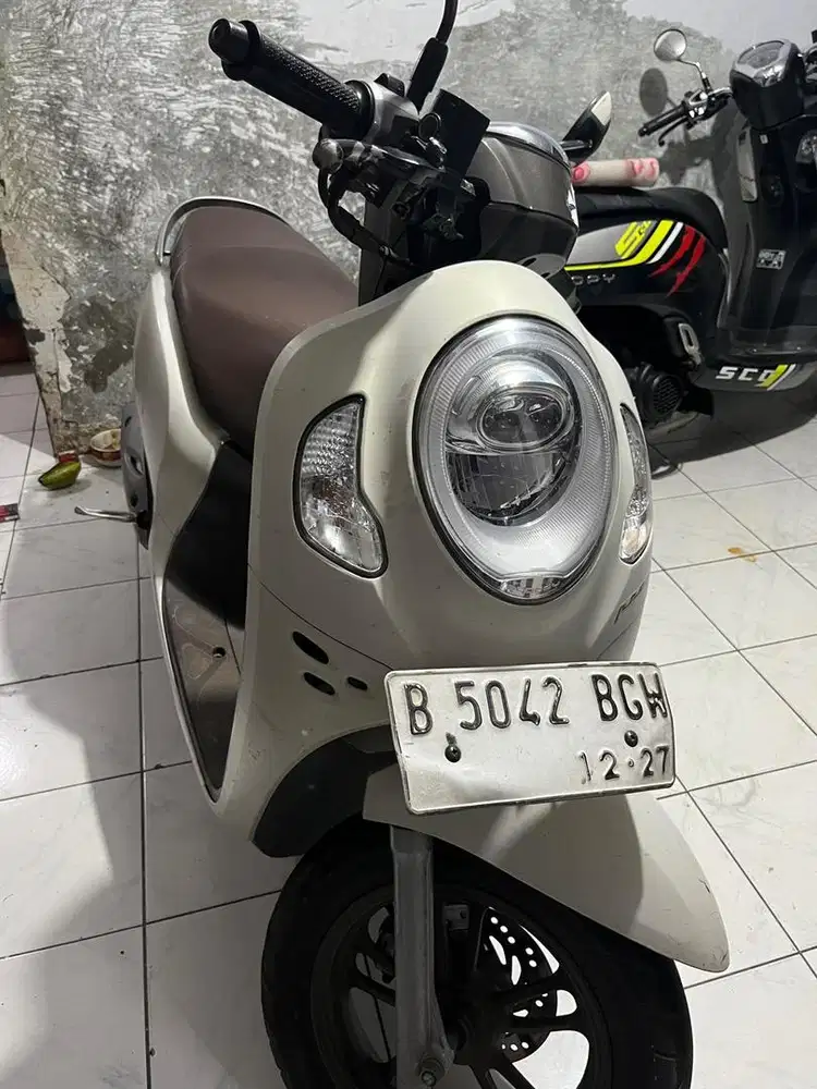di jual scoppy 2022