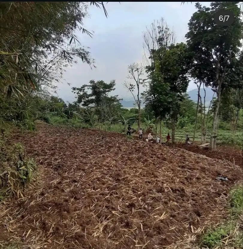 Jual Tanah Luas diatas Bukit Kutawaringin Bandung, Milik Pribadi.