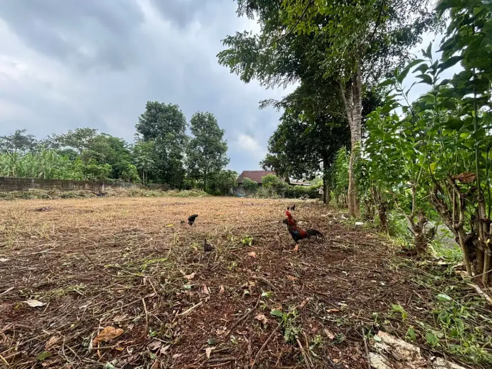 Tanah SHM 1Jtan/m - 5 Menit Alun alun Legok