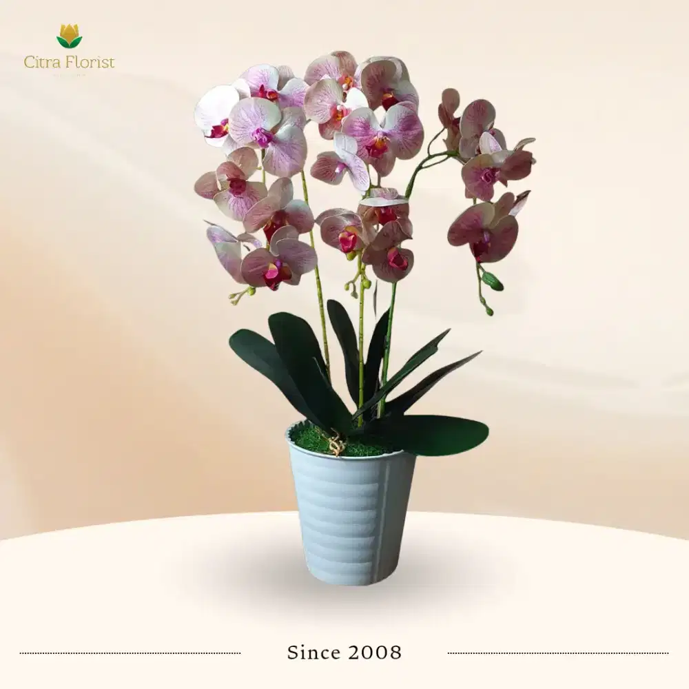 Artificial Bunga Anggrek Untuk Grand Opening / Ulang Tahun