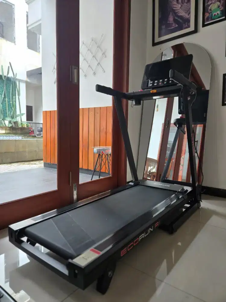 TREADMILL KETTLER ECORUN R1