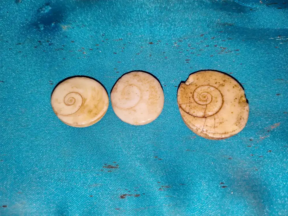 HARTA KARUN UANG KOIN KUNO, BESI/KUNINGAN AKIK, BATU KUNO ANTIK