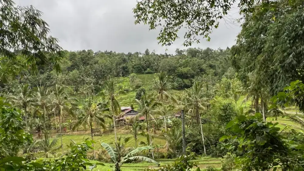 Dijual Tanah View Sawah Terasering Dan Gunung Tabanan Bali