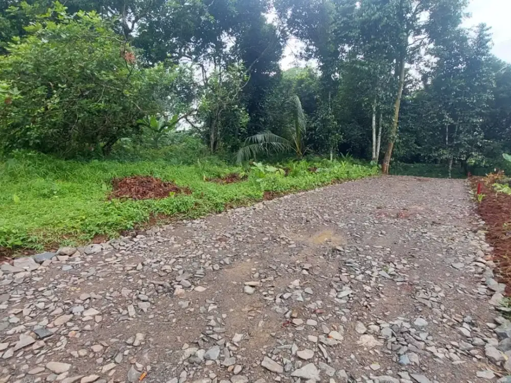 100 Jutaan Kavling Hunian & Invest Area Bekasi, Bisa Cicil 12x Bunga 0%