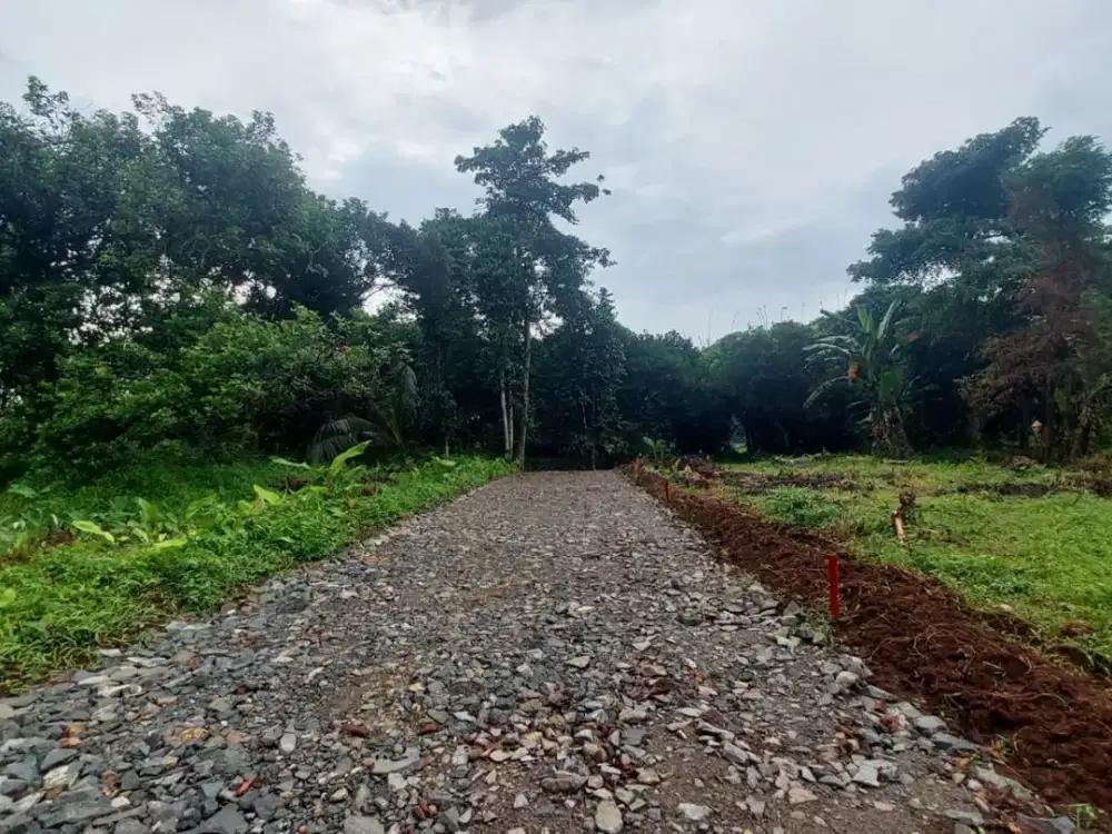 100 Jutaan Kavling Hunian & Invest Area Bekasi, Bisa Cicil 12x Bunga 0%