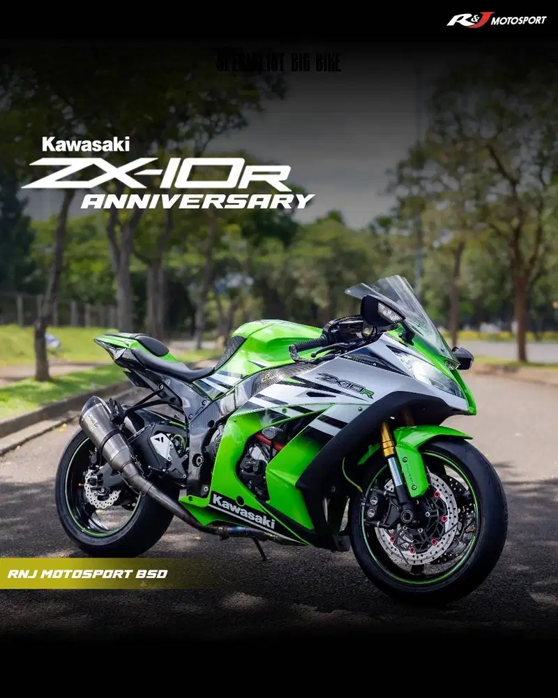 Kawasaki ZX10R ZX10 ZX 10 Anniversary 30Th Nik 2015 Knalpot LeoVince
