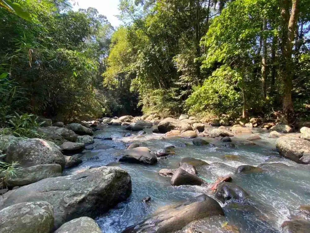 Tanah Kebun View Jungle Los Sungai Berbatu Di Tabanan Bali