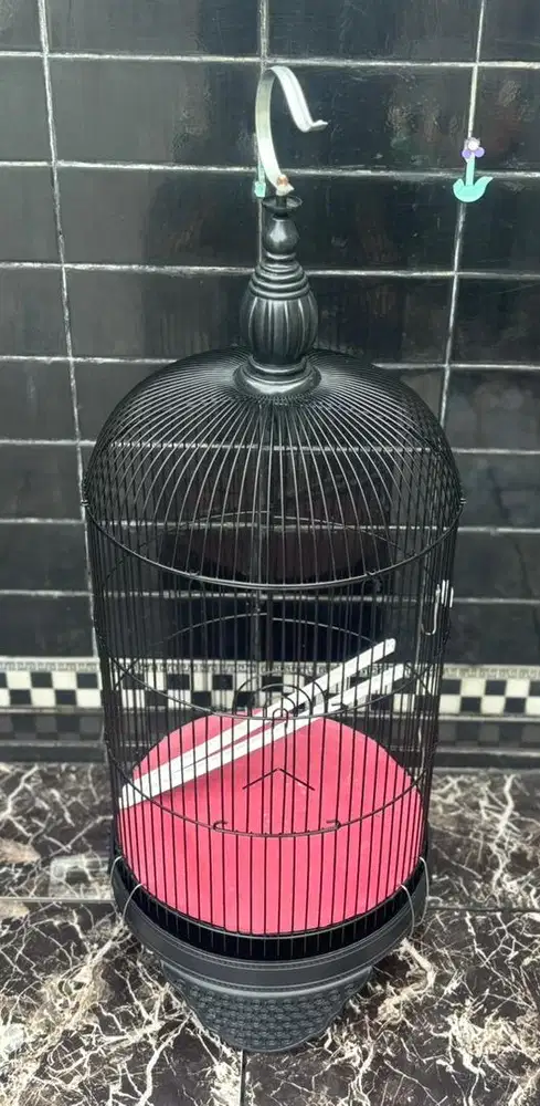 DI JUAL CEPAT ! KANDANG BURUNG BURCIL MEREK QC PANDA ! MURMER