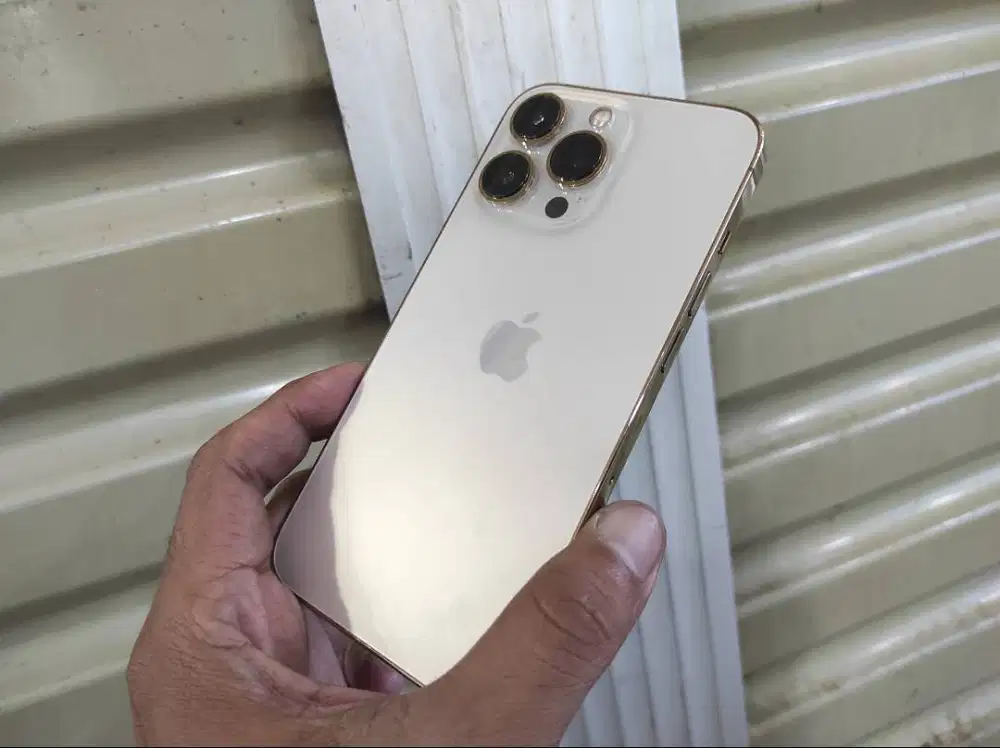 iphone 12 pro max 256gb gold lengkap