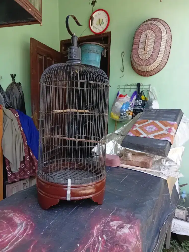 Sangkar lbet tanggung