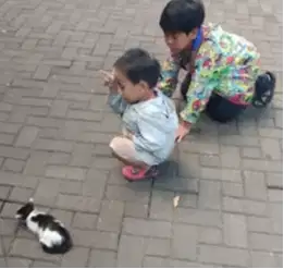 Membutuhkan ART menginap Cijerah