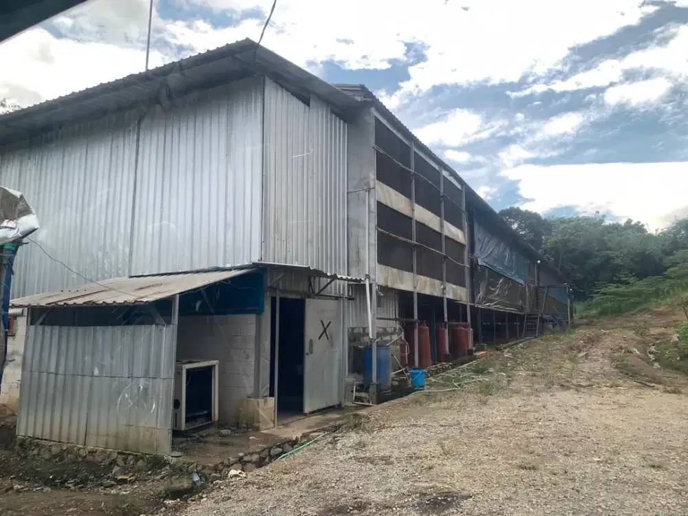 Dijual Tanah 1,7 ha dan Kandang Peternakan Ayam di Tegalwaru Karawang