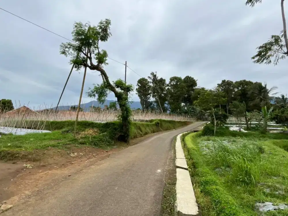 Dijual Tanah Kebun dan Ladang Ada Air Mengalir Udara Dingin Bojong