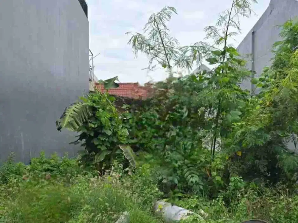 8.25jt/m Kavling Tanah Di Pantai mentari, dekat Kenjeran, Lebak, Sutorejo, Pakuwon city, Mulyosari, babatan pantai, gading pantai