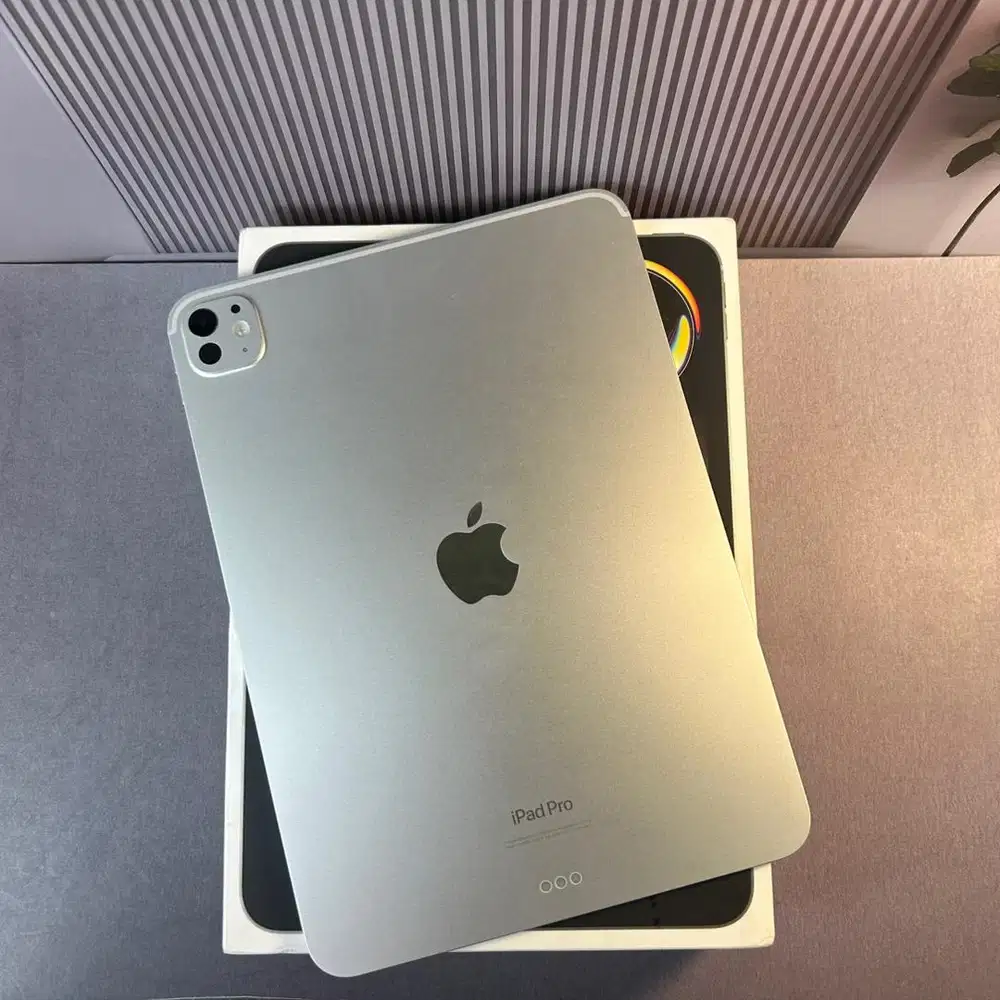 iPad Pro M4 256gb wifi