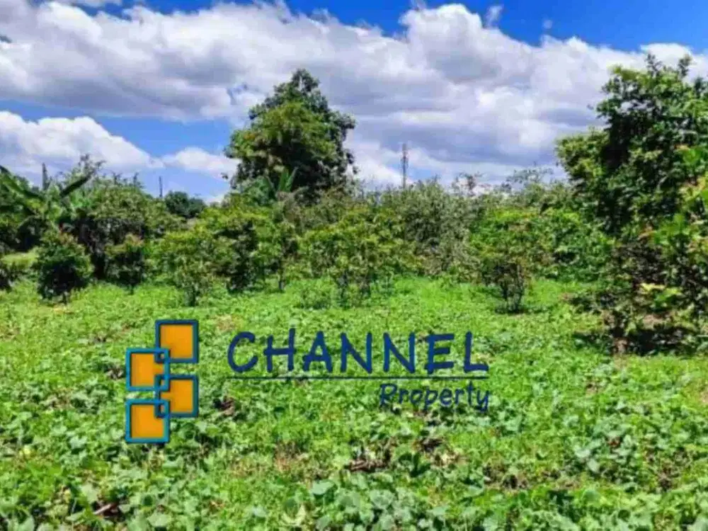 DiJual Tanah Kavling Lokasi Strategis Dekat Tol dan Supermarket Sawangan Depok, Ls