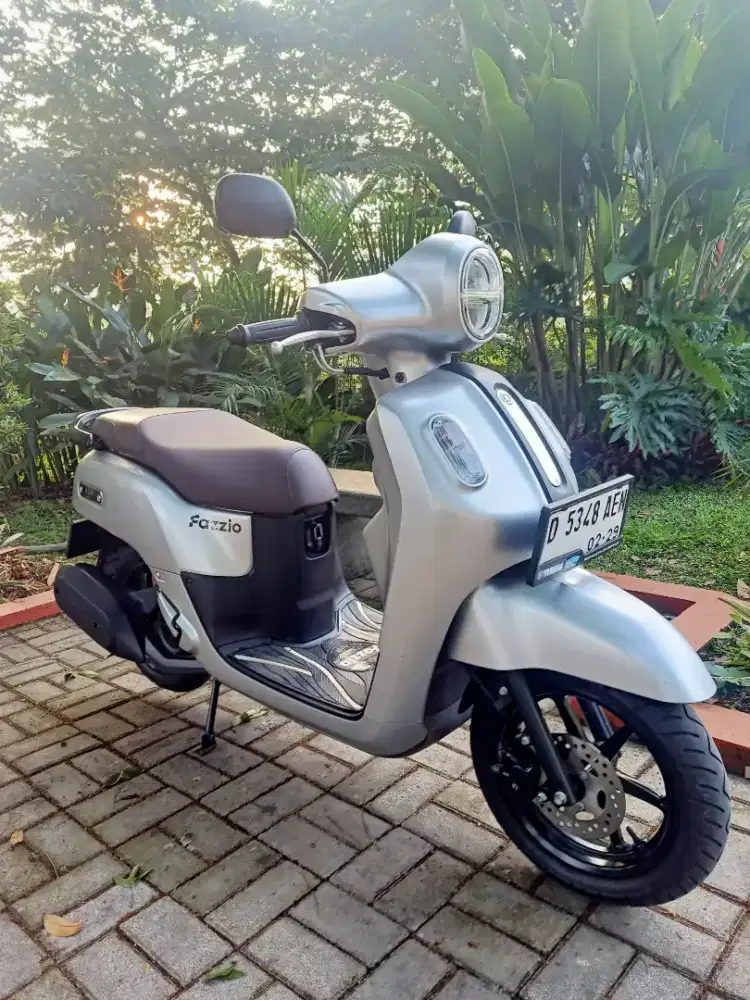 Fazzio LUX 2024 Setangan Dari Baru