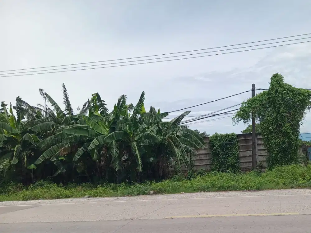 Dijual Tanah Zona industri Cikande 19 hektar 1,1 jt/m SHM