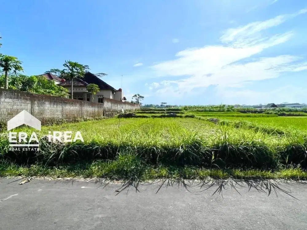 TANAH DIJUAL DI BOYOLALI DEKAT DENGAN PASAR PASEKAN MUDAL