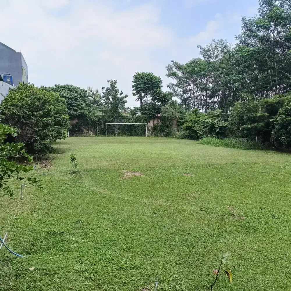 Dijual tanah murah di Dekat Undip jl Bulusan Tembalang