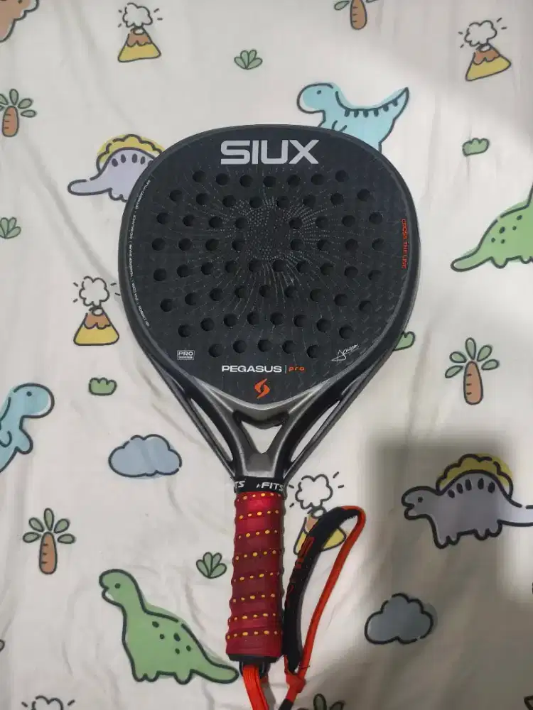 Siux pegasus pro 26 like new