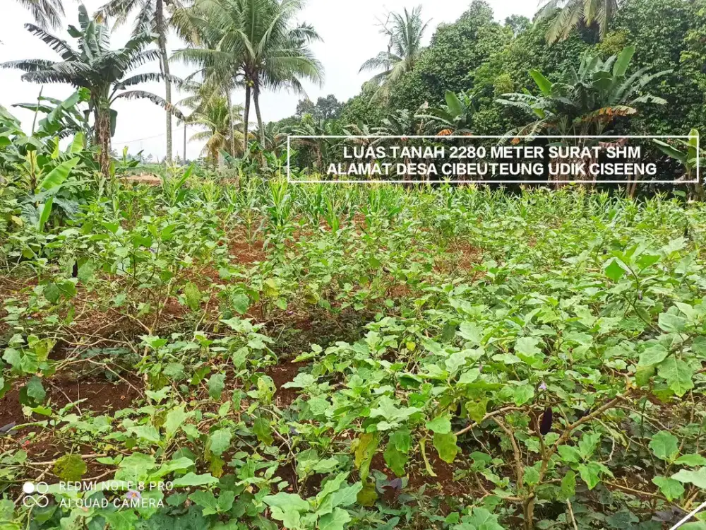 JUAL TANAH MURAH SUDAH SERTIFIKAT SHM DAN STRATEGIS LOKASI DI CIBEUTEUNG UDIK KECAMATAN CISEENG
