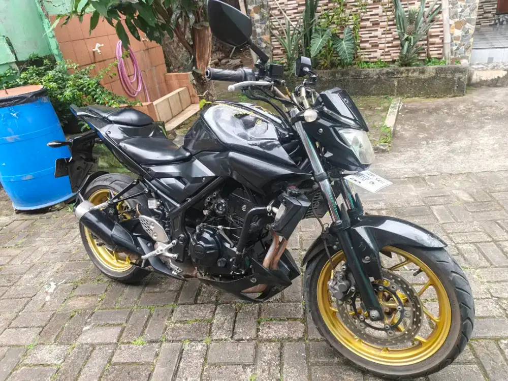 Yamaha MT25 2019