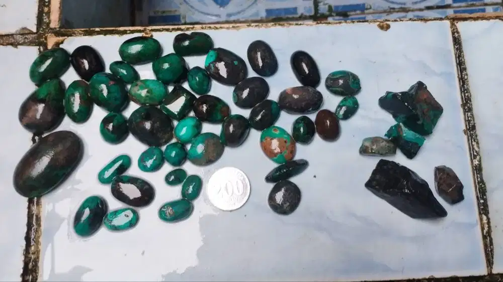 Diborongin saja Bacan polkas