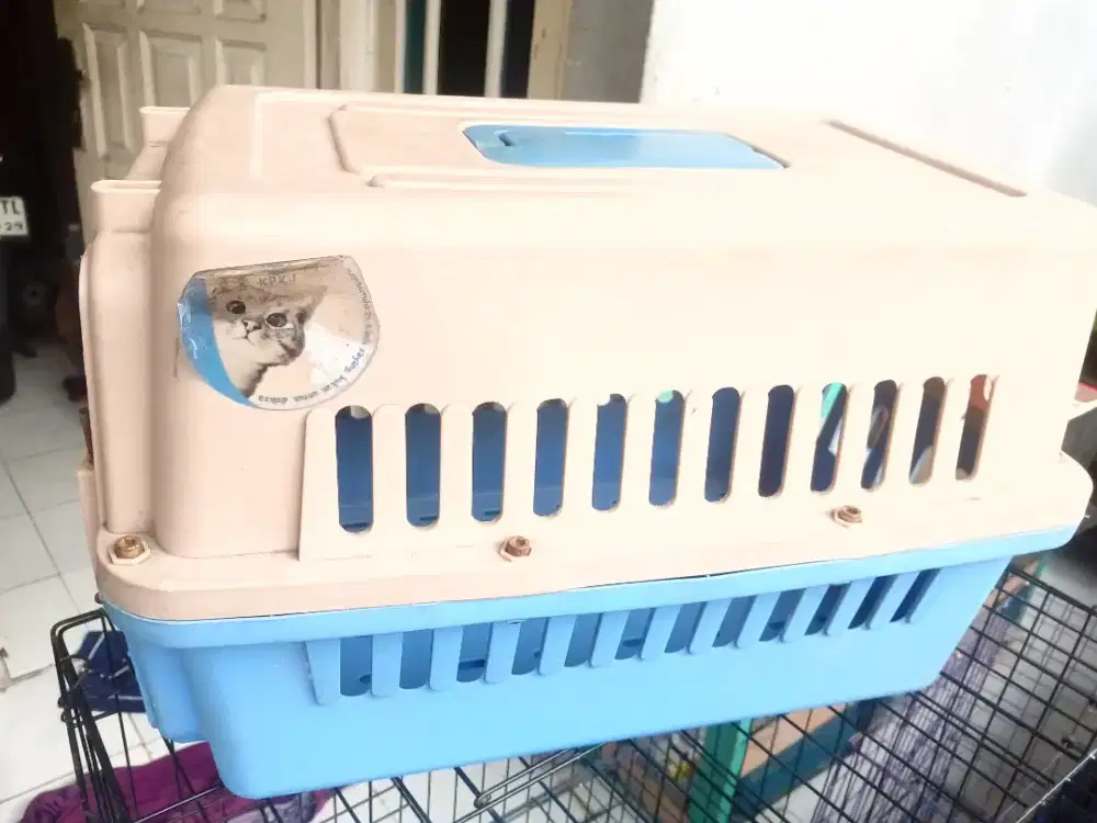 Pet cargo kucing musang hewan