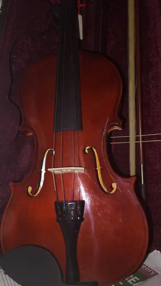 Biola Vienna, baru beberapa bulan , sekali pake